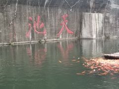 -千岛湖东南湖区
