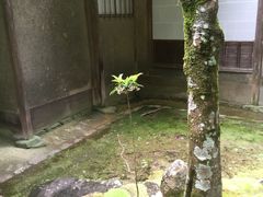 -西芳寺(苔寺)