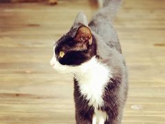 612af000gx6Cwr7nsR3a1&690-梵几(东信·和创园店)