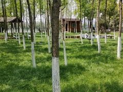 -艾溪湖湿地公园