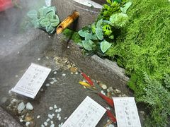 -瑞虹新天地月亮湾