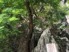 -星湖旅游景区七星岩