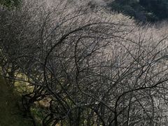 -广东天露山旅游度假区