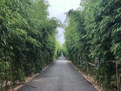 -武汉紫薇都市田园