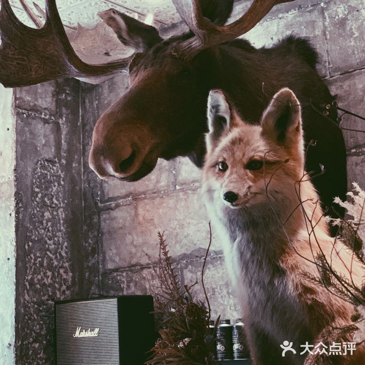 ✨成都咖啡探店｜打卡川A dirty天花板