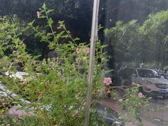 -樽宴酒楼·地道川菜·品质宴请