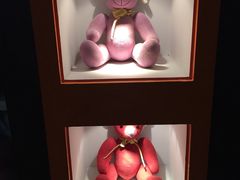 -济州岛泰迪熊博物馆