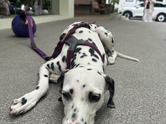 -VPsmart私教健身工作室(新华路旗舰店)