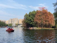 -荔湾湖公园
