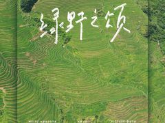 -龙脊梯田
