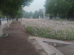 -南京信息职业技术学院
