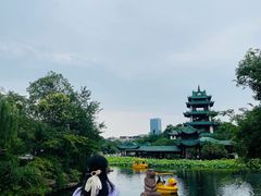 -桂湖森林公园