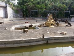 -广东茂名森林公园