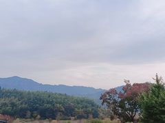 -塔川景区
