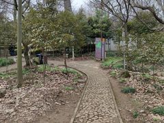 -上海佘山国家森林公园天马山园