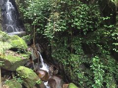 -海南热带雨林国家公园吊罗山景区