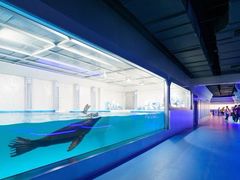 -大连圣亚海洋世界