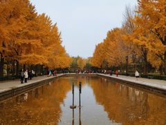 -玲珑塔公园