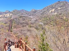 -大岭沟猕猴桃谷风景区