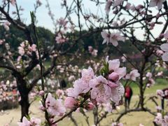 -美兰湖景区