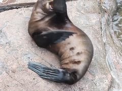 -郑州海洋馆