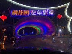 -枫花园汽车电影院(朝阳公园店)