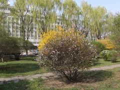 -辽宁大学(崇山校区)