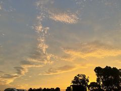 -西京湾花海