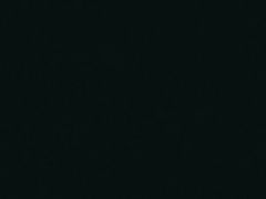 -赏点粤式点心(广州塔店)