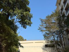 -仙岳公园