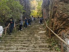 -天女山森林公园