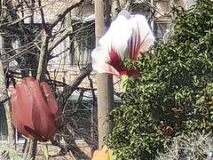 -中海环宇荟