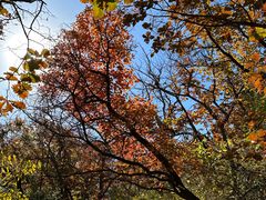 -北京上方山国家森林公园