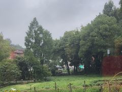 -野蔓果·山野菜(西湖景区·龙井茶田店)