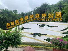 -西双版纳原始森林公园