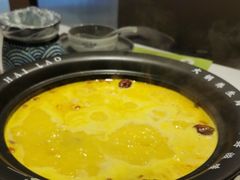 -洪氏嗨捞·广东猪肚鸡·椰子鸡火锅(西咸万象城店)