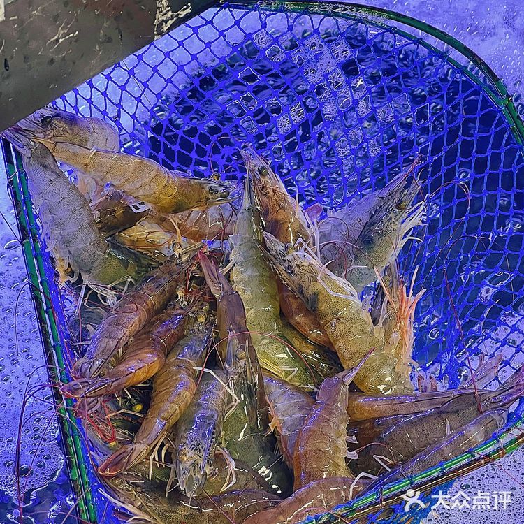 10元左右满足海鲜胃，上海真是太超前了！