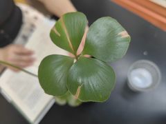 -fishtank鱼缸咖啡(三山街店)
