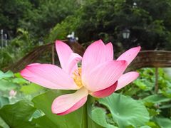 -龙环葡韵住宅式博物馆