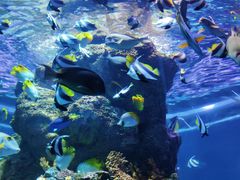 -成都浩海立方海洋公园