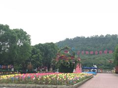 -东南花都花博园