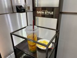 -崇尚GAVIN STYLE臻选