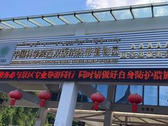 -中国科学院西双版纳热带植物园
