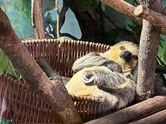 -杭州野生动物世界