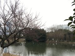 -天鹅湖体育公园