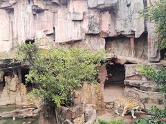 -长鹿旅游休博园