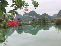 -靖西鹅泉风景区