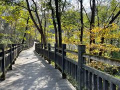 -黄山太平湖风景区