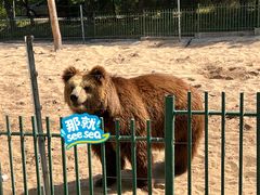 -秦皇岛野生动物园