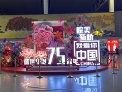 -合肥新桥国际机场-航站楼